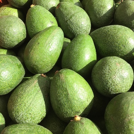 Organic Hass Avocado Best Quality Natural Fresh Produce for Sale Certified Organic Cultivation - Image 4