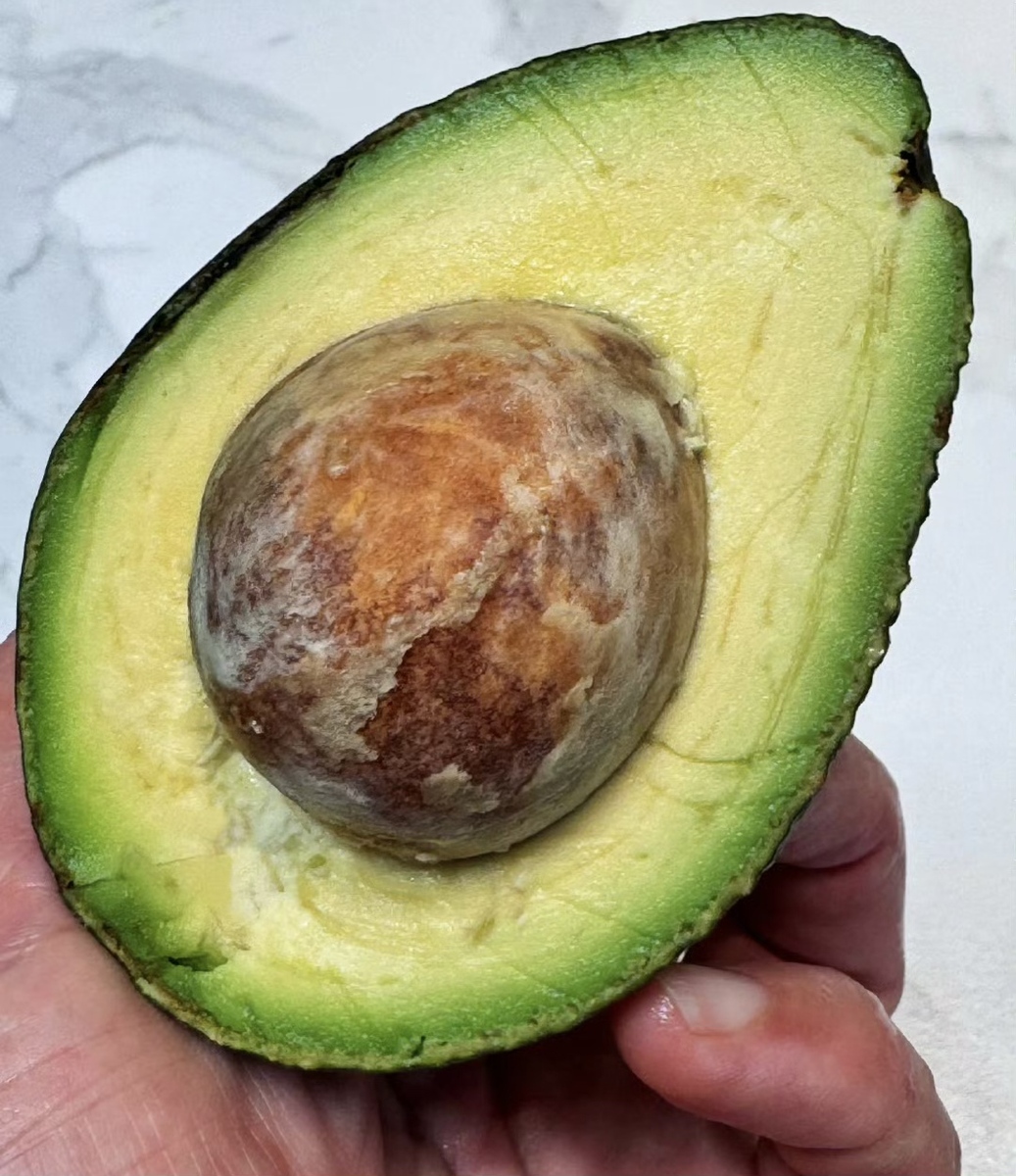 High Quality Premium Hass Fresh Avocado High Grade Size 14-32 30 Days Shelf Life Available for Sale at Low Price - Image 3