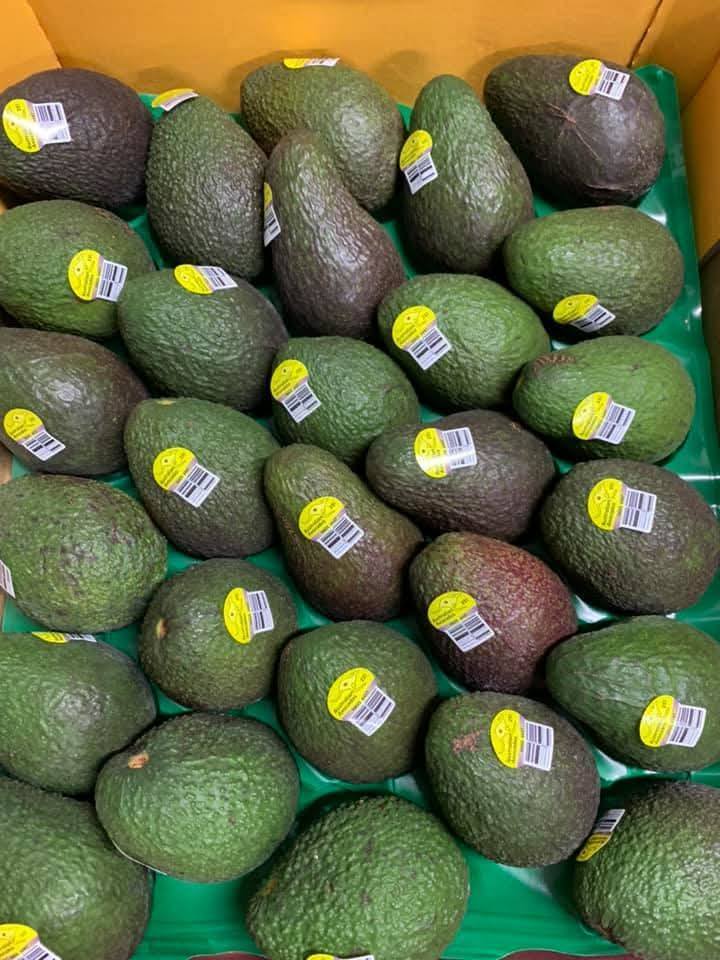 Organic Fresh Hass Avocados Highest Grade Natural Best Price From South Africa - Image 5