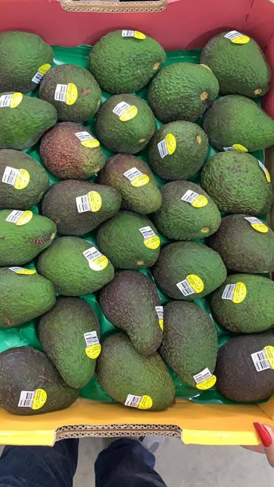 Organic Fresh Hass Avocados Highest Grade Natural Best Price From South Africa - Image 6