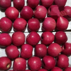 Chinese Supplier of Fresh Fuji Apples - Natural Farming, Competitive Quote