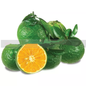 Fresh Orange With High Quality Is a Fruit Rich in Nutrition and Offers Many Health Benefits