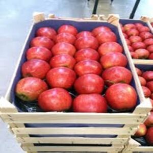 Order by the Pallet Royal Gala Apples for Sale at Best Prices