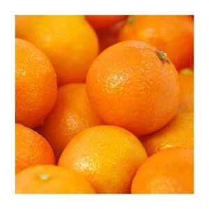 Organic Fresh Citrus Oranges, Grade A, 12kg Wholesale from Netherlands