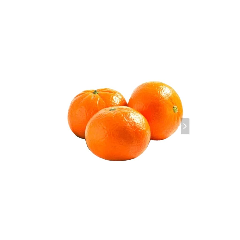 Organic Premium Grade Fresh Navel Orange Sweet Taste Dry Fruit Citrus Variety Similar to Lemon Grapefruit Mandarin Orange