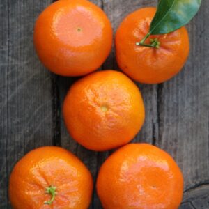 Organic Fresh Navel Valencia Orange and Mandarin Oranges Citrus From Egypt Ready to Export Season 