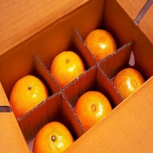 100% Pure Organic Premium Fresh Citrus Naval Oranges