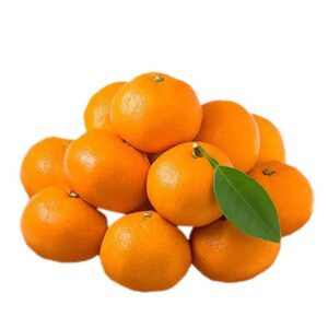 Mandarin Oranges Navel Orange Fresh Premium Quality Sweet Healthy Nutritious From US
