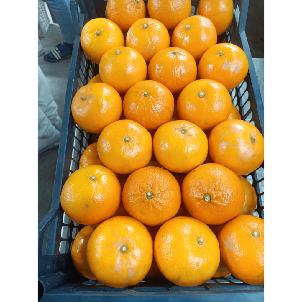 Fresh Organic Mandarin Orange Citrus Fruit