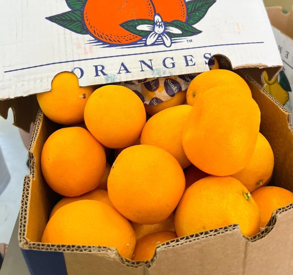 Wholesale Cheap Organic Fresh Citrus Fruit Navel Oranges From South Africa