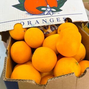 Wholesale Cheap Organic Fresh Citrus Fruit Navel Oranges From South Africa