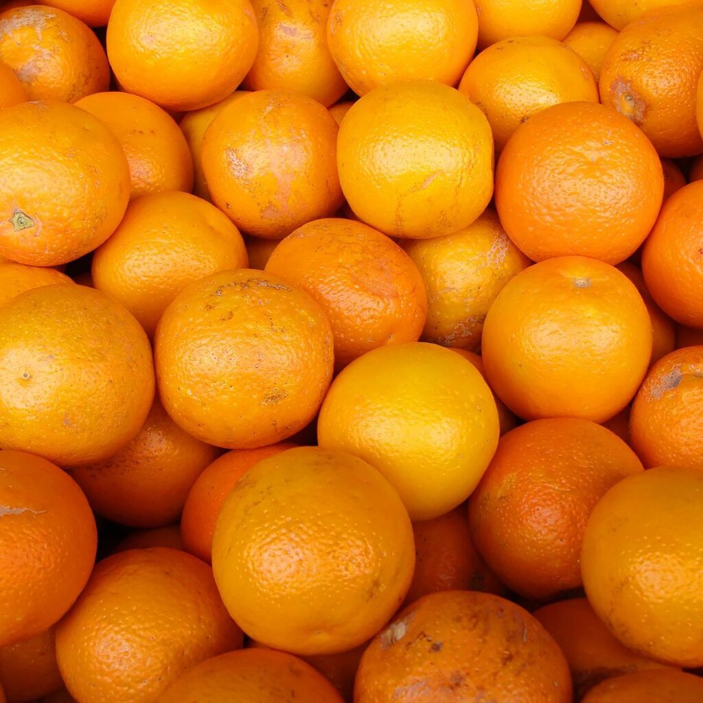 Fresh Organic Navel Valencia Oranges Citrus From Germany
