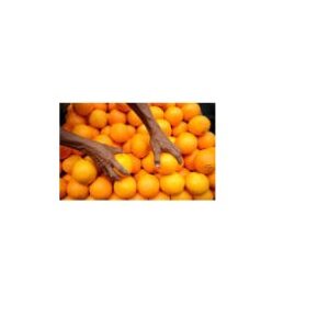FRESH ORANGES FROM SOUTH AFRICA