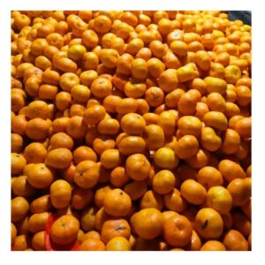 Quality Sale Navel Orange Sweet Juicy Honey Oranges Fresh Oranges