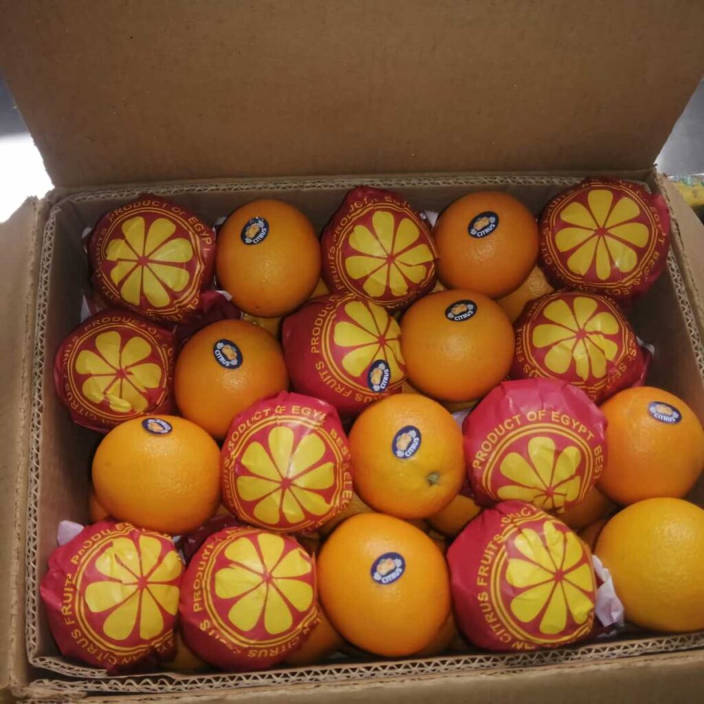 Total Organic Fresh Oranges Juicy and Sweet Citrus Fruit From Egypt with 12 Month Shelf Life