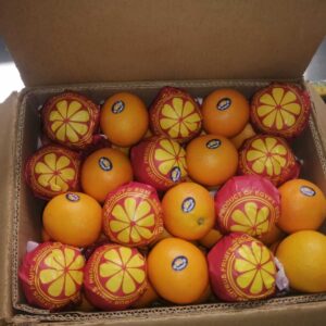 Total Organic Fresh Oranges Juicy and Sweet Citrus Fruit From Egypt with 12 Month Shelf Life
