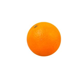 Fresh Navel and Valencia Oranges Lemon Citrus From Egypt Grade a