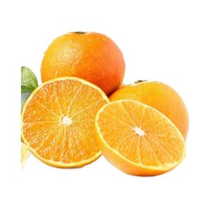 Best-selling Australian Fresh Citrus Fruit Exporter Natural Sweet Delicious Fresh Navel Orange