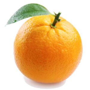 Fresh Navel Orange , Fresh Orange, Fruit Wholesale Suppliers Sweet Navel Price Citrus Orange Fresh Fruit