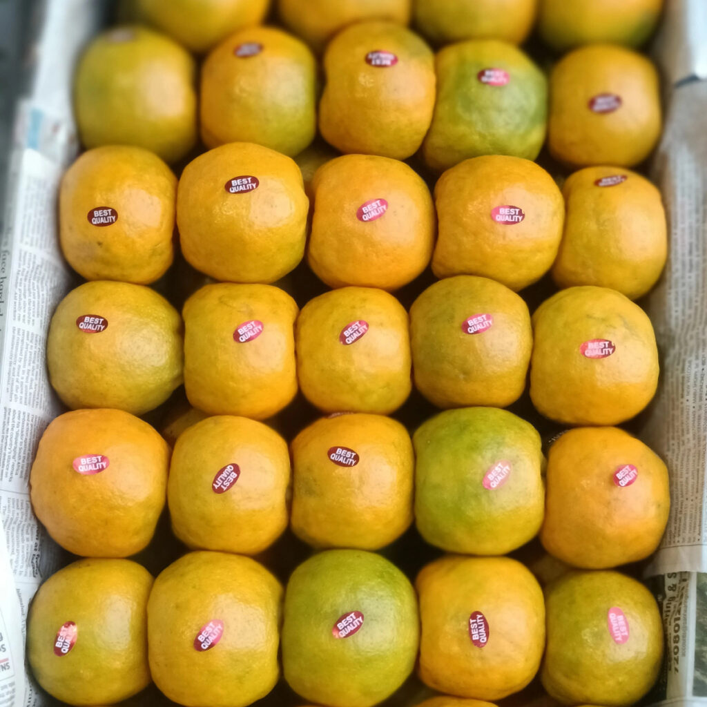 New Style Yellow Orange Natural Fresh Orange Fruit Fresh Style and Citrus Fruit Product Type Grapefruits Valencia Orange