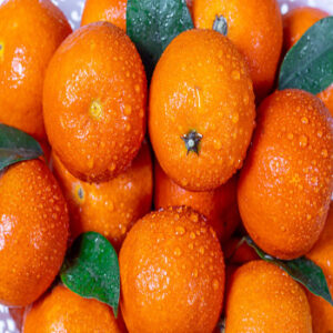 Best Selling and High Premium Fresh Valencia Oranges Fresh 100% Natural Pure Healthy Valencia Orange for Sale