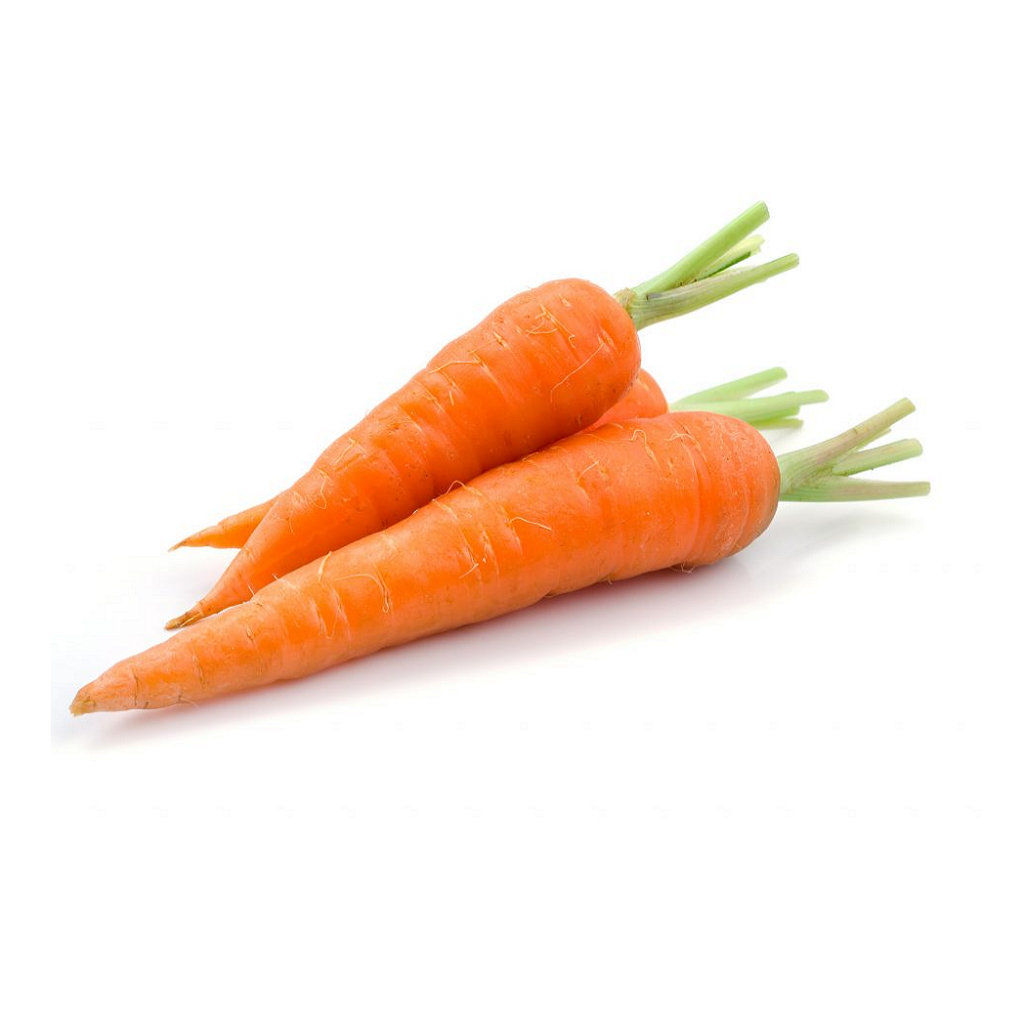 New Crop GAP Certified Fresh Carrots Good Price for Food Use
