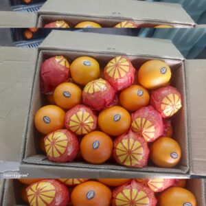 Fresh Valencia & Navel Organic Oranges Juicy Sweet Citrus High Quality From Egypt