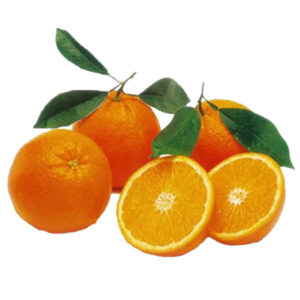 Premium Organic Fresh Pakistani Kinnow Mandarin Oranges-Grade a Quality