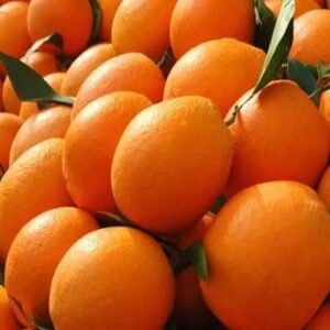 Hot Sales Wholesale Price for China's Sweet Mandarin Tangerine Fresh Seasonal Citrus Fruit Papagan Premium Quality Oranges