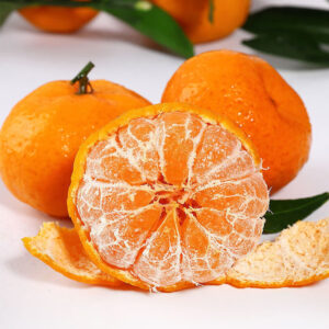 Fresh Organic Mandarin Orange Fresh Sweet Citrus Fruits Nanfeng Orange Baby Mandarin Oranges Direct Wholesale Export From China