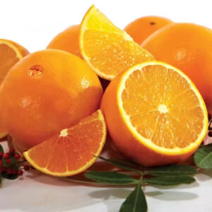 Bulk Premium Oranges Exceptionally Sweet Juicy No Pesticides Abundant Nutrition Direct From Sun - Kissed Orchards