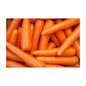 Fresh carrots available in bulk for global produce wholesalers and importers