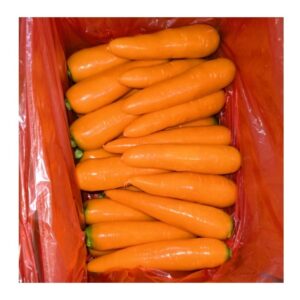 China Organic Fresh Carrot Crop High Vitamin Baby Carrot 100% Natural Vegetables Manufacturer