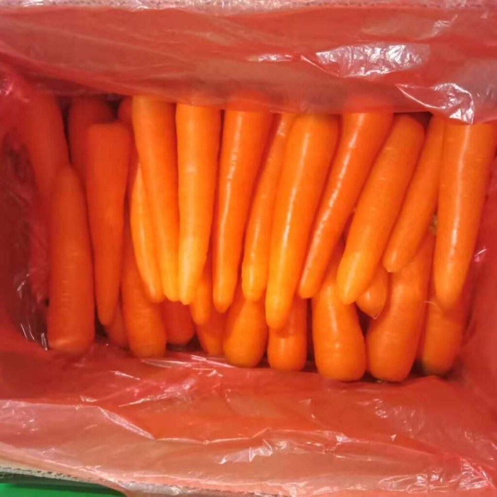 High Quality Fresh Red Carrot-10cm 20kg Food Use Best Price From Supplier