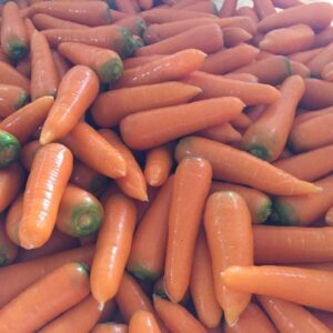 Farm-Fresh Africa Quality Good Price Carrots