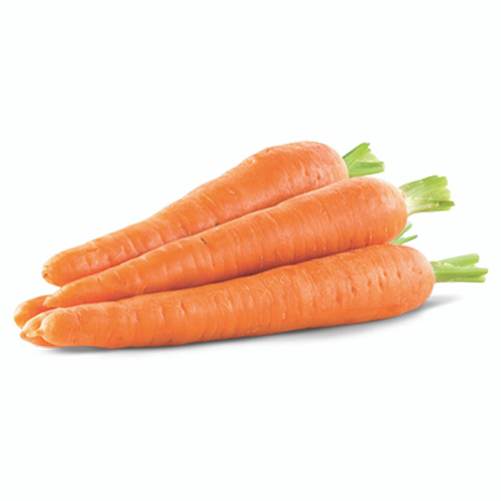 CARROT FROM AFRICA WITH GOOD PRICE