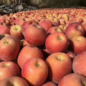 Competitive Price Aksu Apple on Fresh Organic and Fresh Apple Fruit Wholesale Distributors Apples Sweet Taste Red Delicious Type