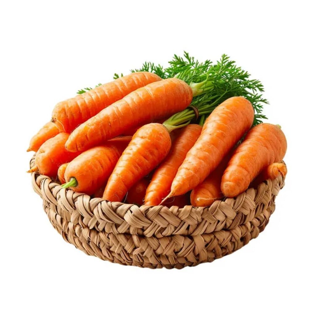 Carrot Seeds Export From Germany Farm Natural Protein & Starch Content Cool & Dry Storage