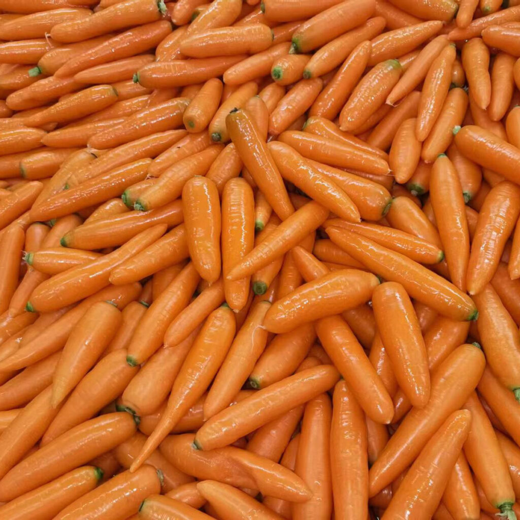 Fresh Carrots Wholesale Premium Quality for Food and Beverage Industry Carrots