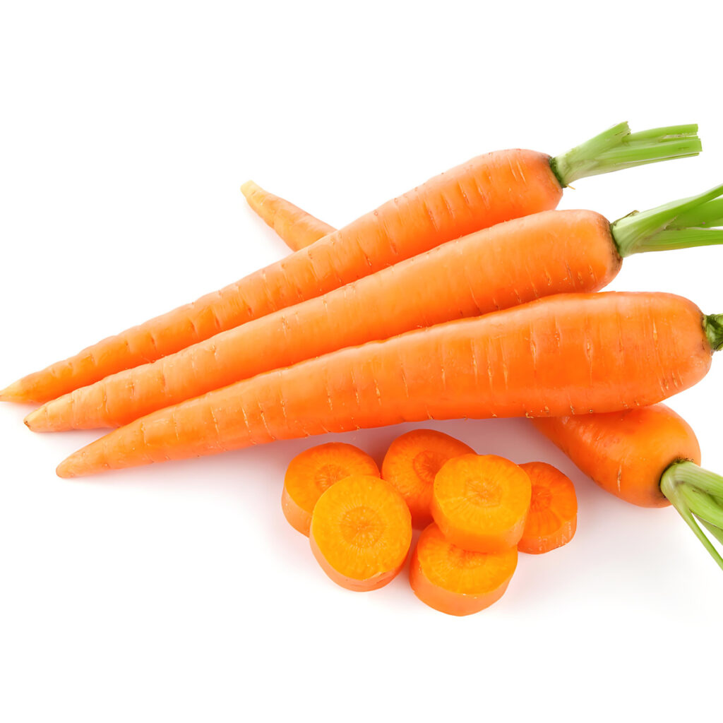 Fresh Organic Carrots - Sweet Crisp Farm Direct, Bulk Wholesale for Cooking & Juicing