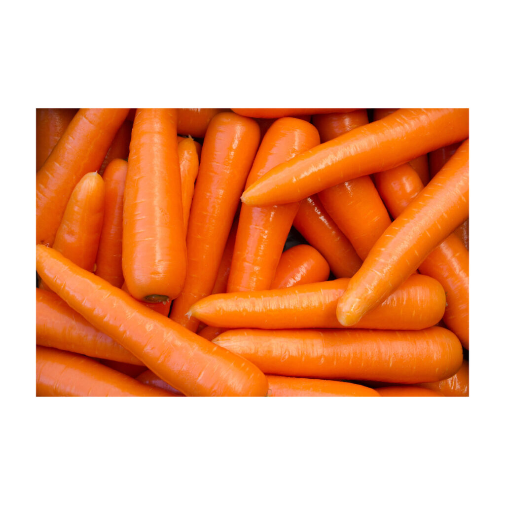 Organic Orange-Colored Fresh Frozen Carrots Long Red Variety South Africa Origin 10KG/CTNS High-quality 6-Month Shelf Life