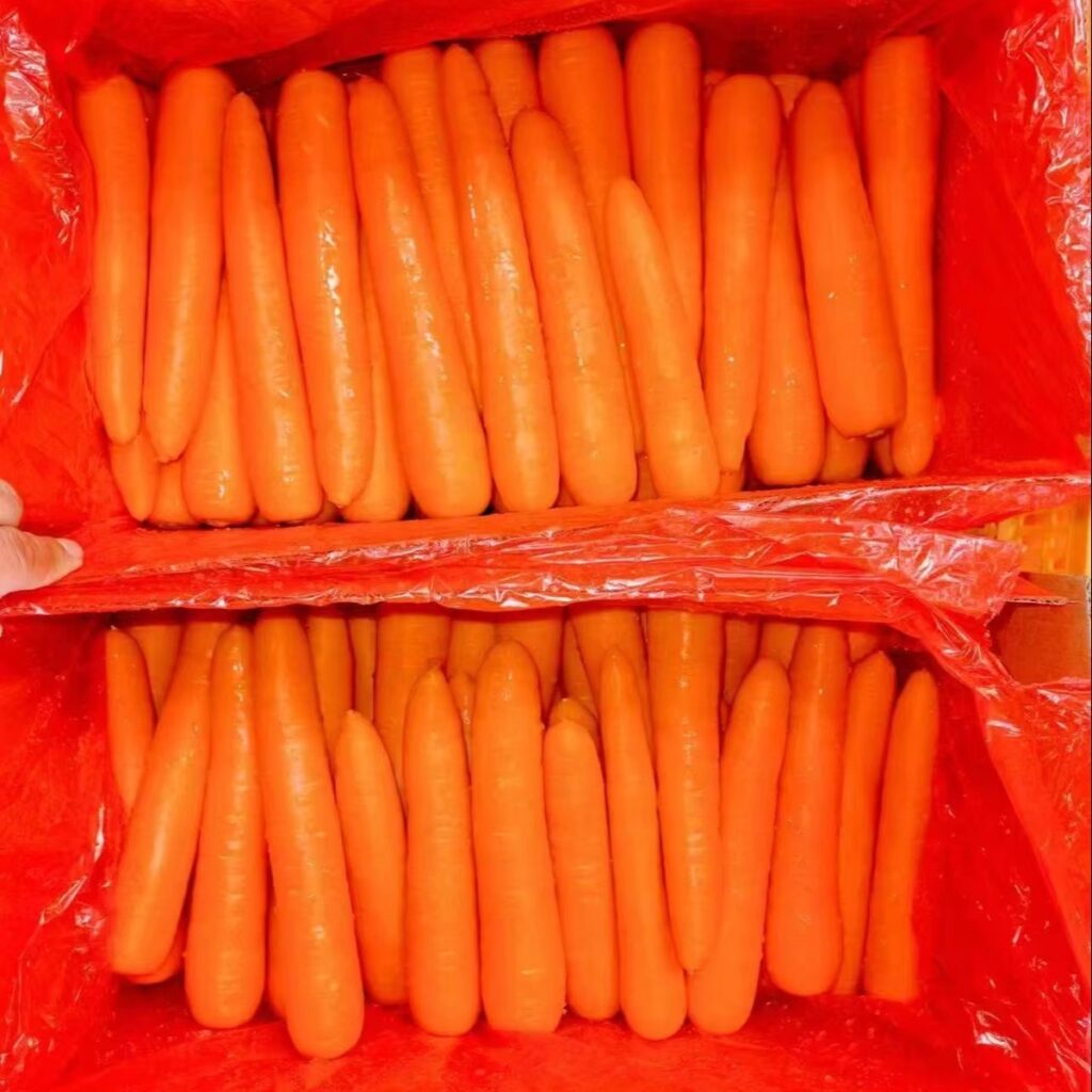 Supplier Offers New Season Organic Baby Sweet Carrots Fresh Vegetables Seeds for Food Use Wholesale Price