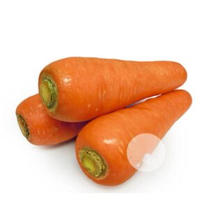 Fresh Bulk Carrot for Sale Price