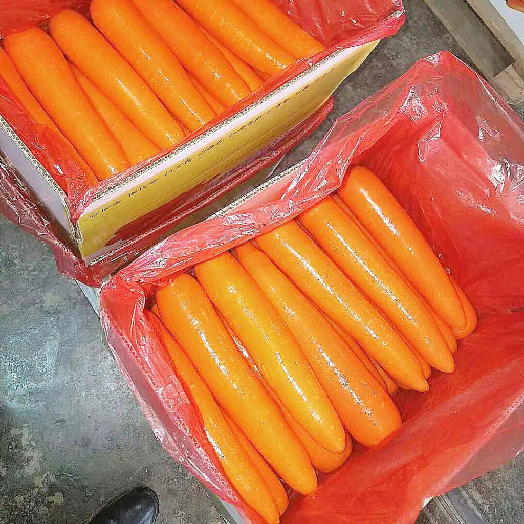 High Quality Direct Wholesale Price Origin Farm-Sourced Fresh Carrots Producer