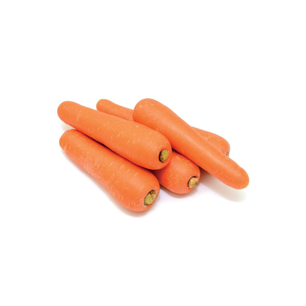 Bulk Fresh Carrots Ready for Shipment with Top Grade Red Color 3cm Size 10kg/ctns Specification