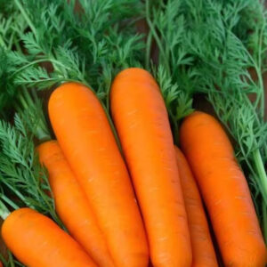 Wholesales Vegetables Origin Africa Bulk Fresh Nutritious Vegetables Frozen Carrots Sliced