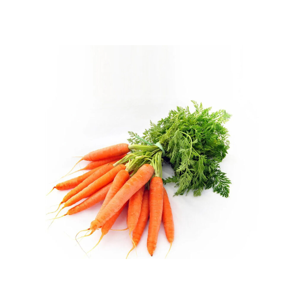 Export-grade Fresh Carrots grown under quality farming practices