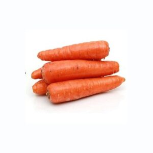 Best Price Carrots for Wholesale Export Natural Fresh Carrots