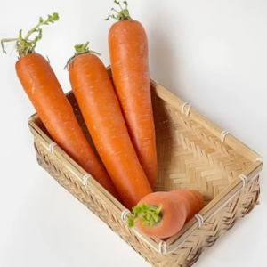 Best Price Organic Fresh Carrots From France Wholesale Export