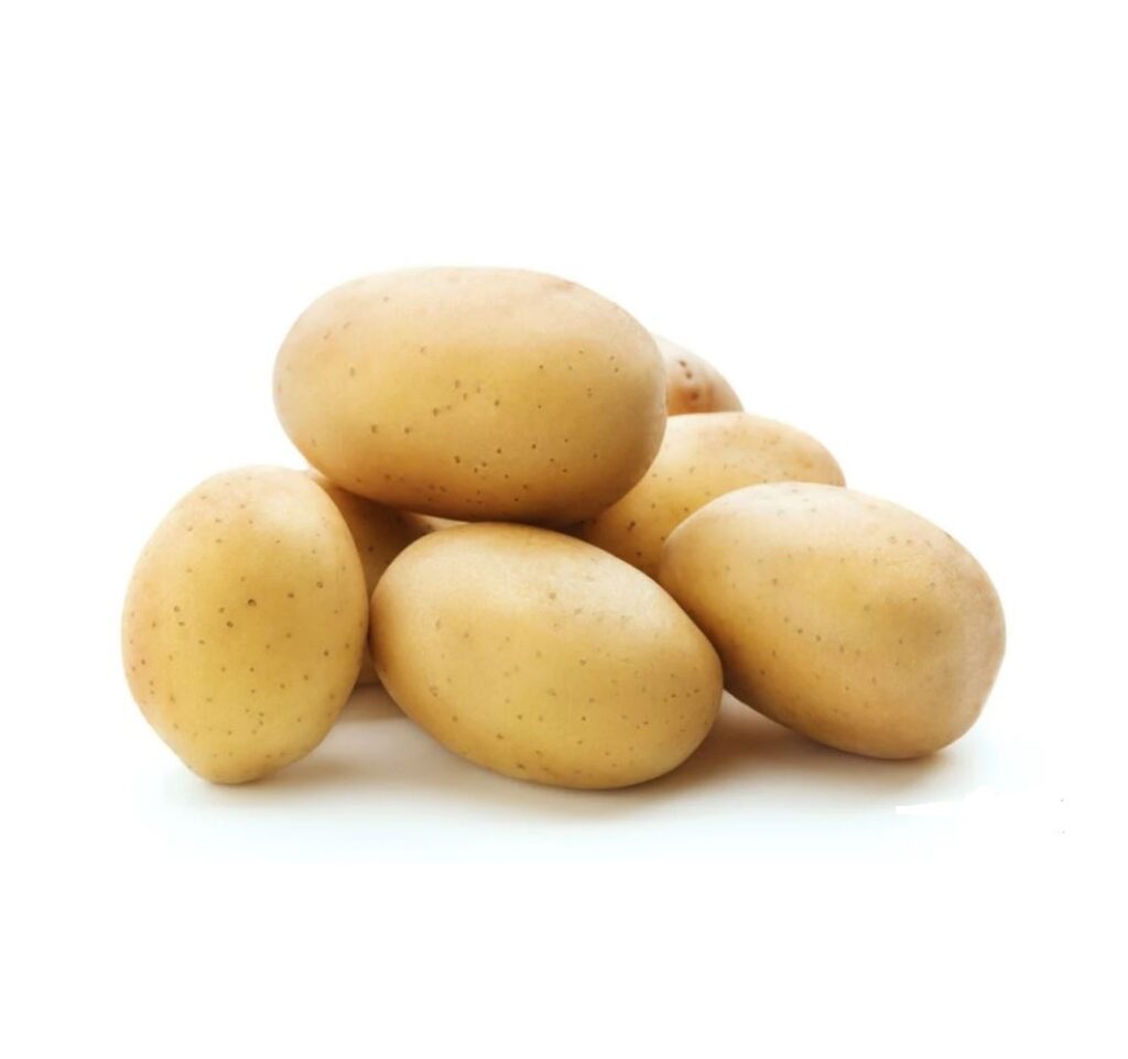 New Season Organic Fresh Potato Wholesale Low Price Export Worldwide Eco Friendly Delicious Potatoes Africa